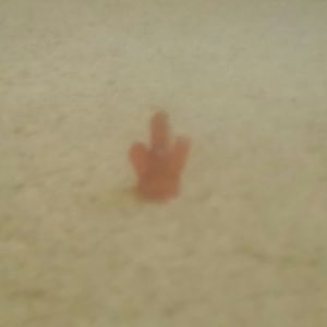 Meet your Posher, Beth